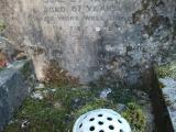 image of grave number 82457